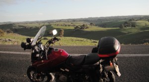 Looking good after a few steady rains.