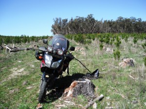Unpacked the gear ready to detect.