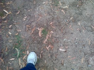 Not sure why I took a photo of my left foot, but why not share it. :)