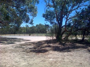 Parking area at the Jupiter Creek Diggings